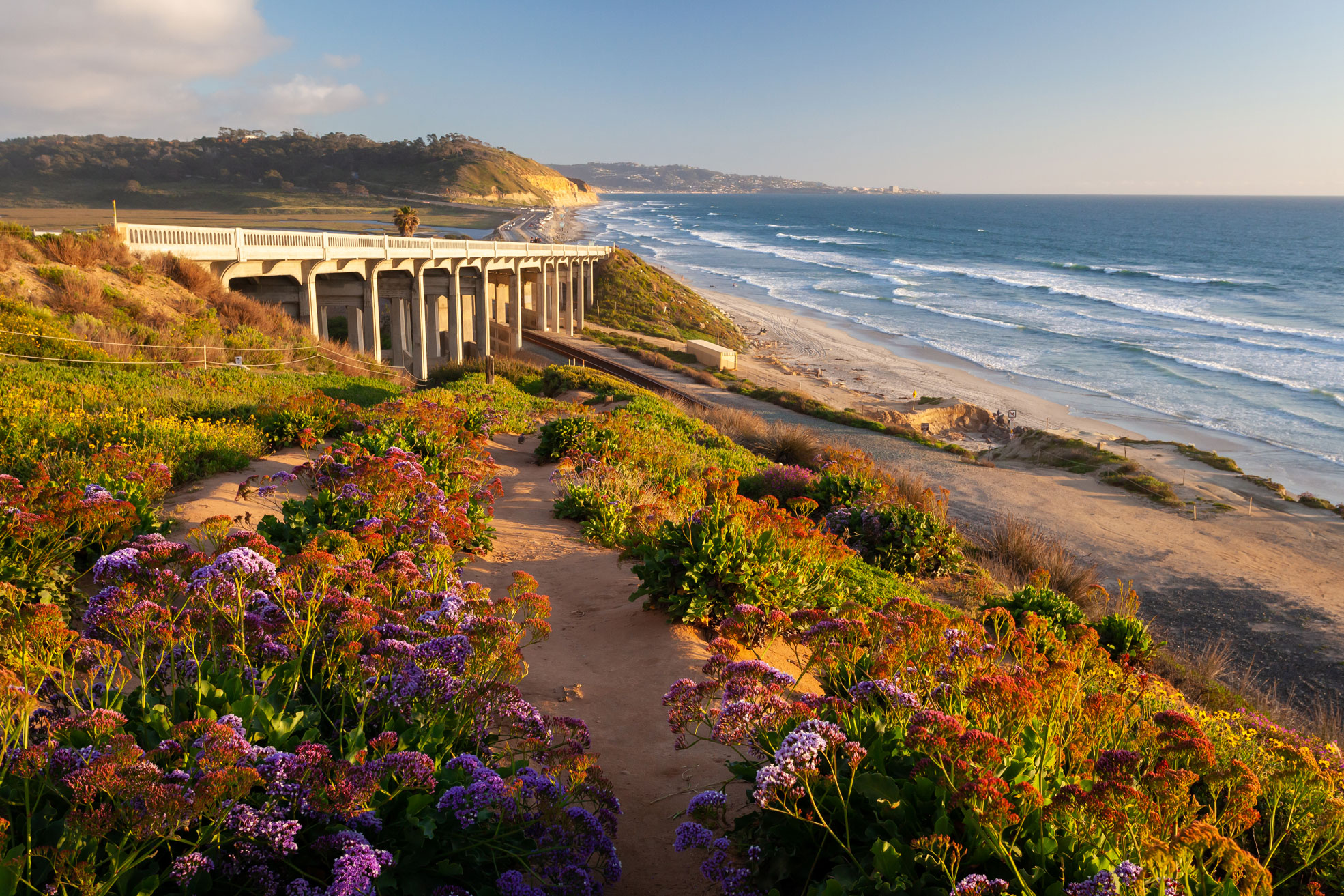 8 Most Beautiful Places in San Diego to See While High | Mistifi