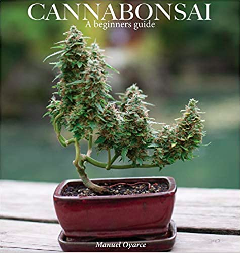 cannabis books cannabonsai
