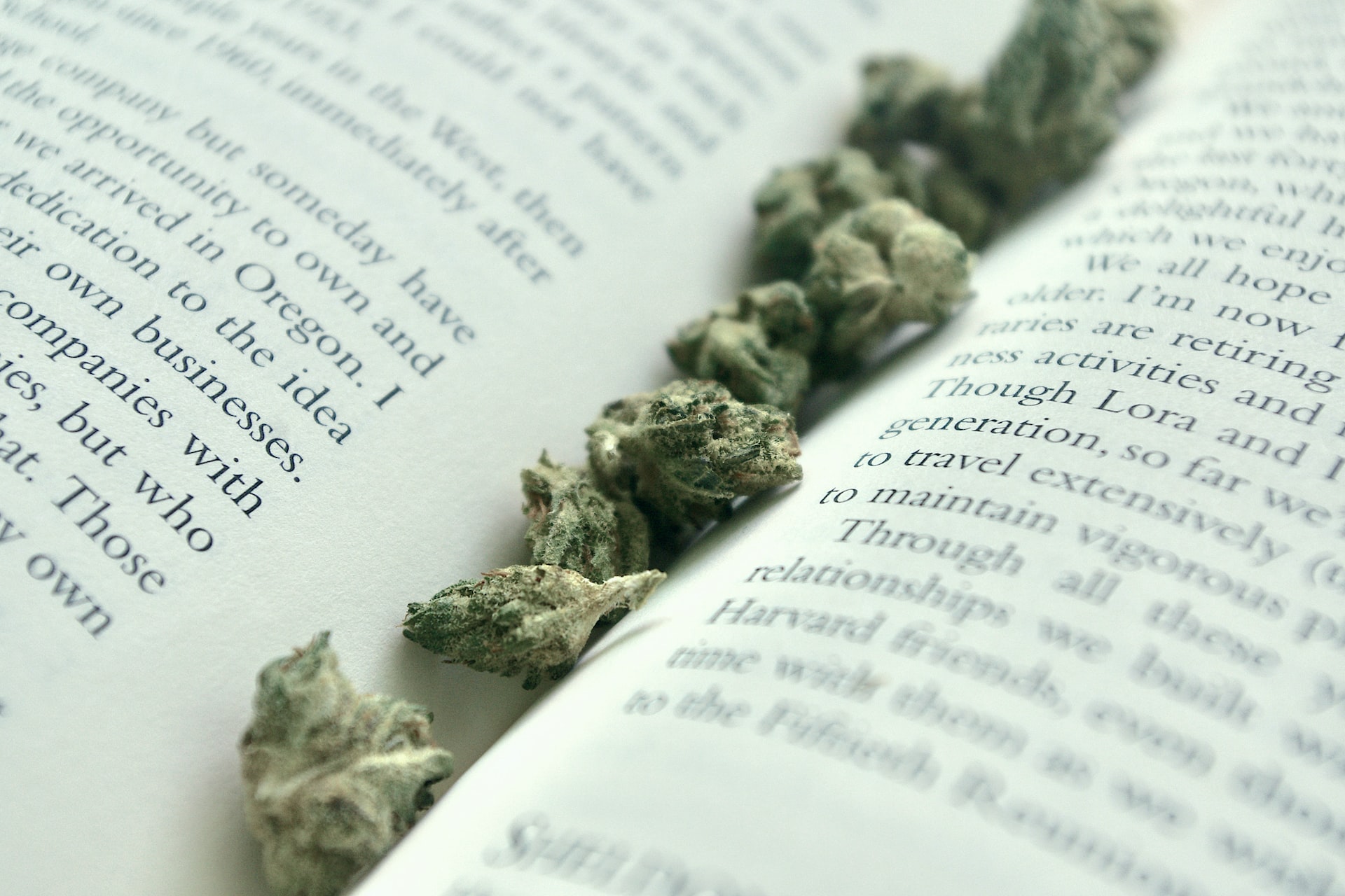 cannabis books